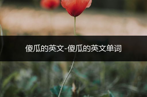 傻瓜的英文-傻瓜的英文单词