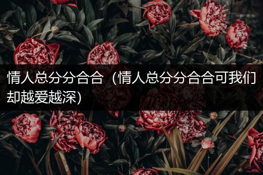 情人总分分合合(情人总分分合合可我们却越爱越深)