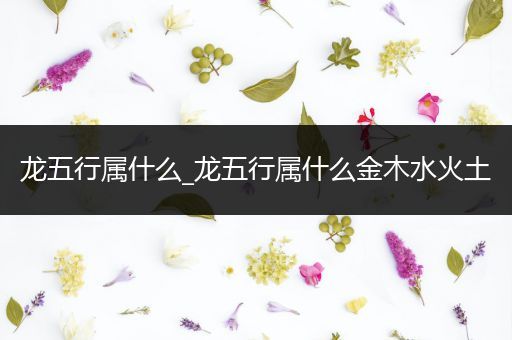 龙五行属什么_龙五行属什么金木水火土