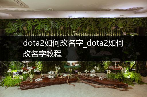 dota2如何改名字_dota2如何改名字教程