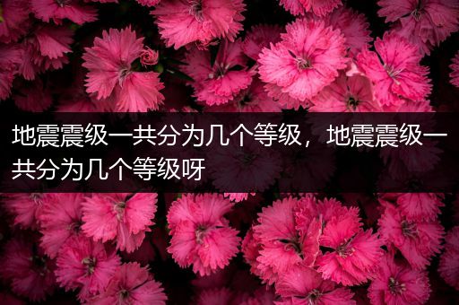 地震震级一共分为几个等级,地震震级一共分为几个等级呀