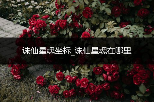 诛仙星魂坐标_诛仙星魂在哪里