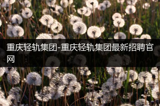 重庆轻轨集团-重庆轻轨集团最新招聘官网