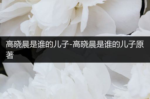 高晓晨是谁的儿子-高晓晨是谁的儿子原著