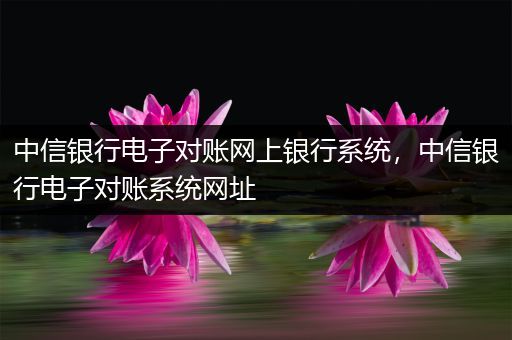 中信银行电子对账网上银行系统,中信银行电子对账系统网址
