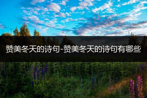 赞美冬天的诗句-赞美冬天的诗句有哪些