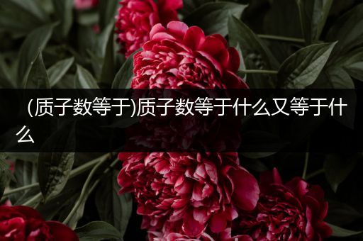 (质子数等于)质子数等于什么又等于什么