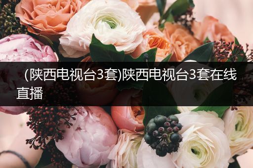(陕西电视台3套)陕西电视台3套在线直播