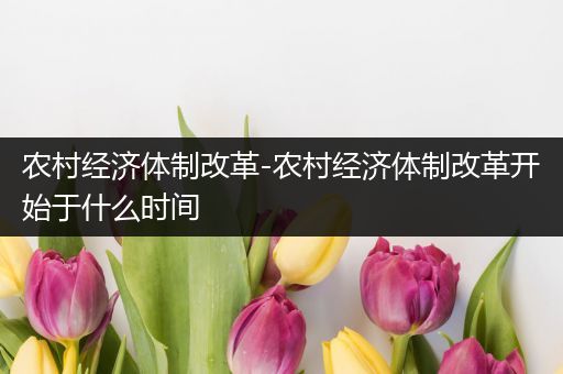 农村经济体制改革-农村经济体制改革开始于什么时间