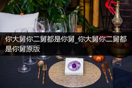 你大舅你二舅都是你舅_你大舅你二舅都是你舅原版