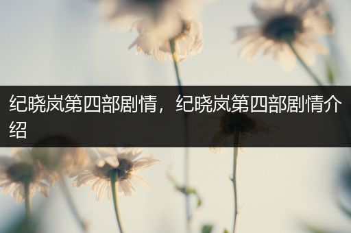 纪晓岚第四部剧情,纪晓岚第四部剧情介绍