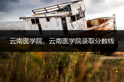 云南医学院,云南医学院录取分数线