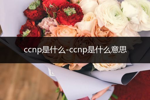 ccnp是什么-ccnp是什么意思