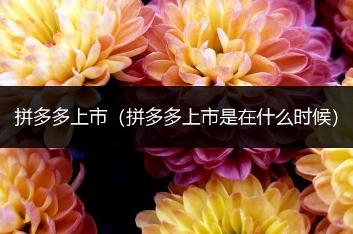 拼多多上市(拼多多上市是在什么时候)