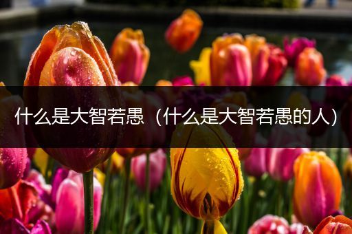 什么是大智若愚(什么是大智若愚的人)