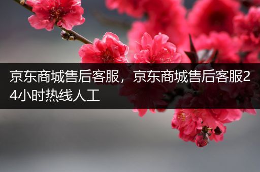 京东商城售后客服,京东商城售后客服24小时热线人工