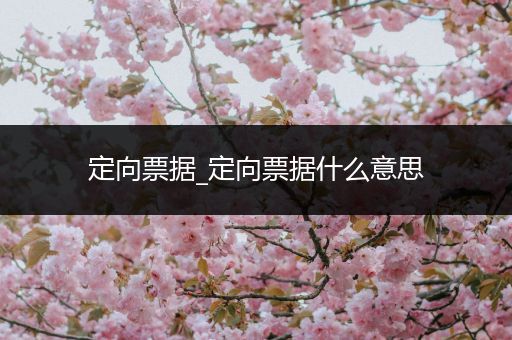 定向票据_定向票据什么意思