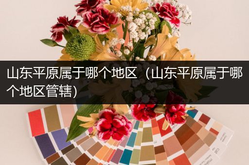 山东平原属于哪个地区(山东平原属于哪个地区管辖)
