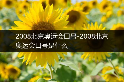 2008北京奥运会口号-2008北京奥运会口号是什么