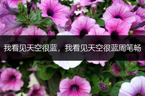 我看见天空很蓝,我看见天空很蓝周笔畅