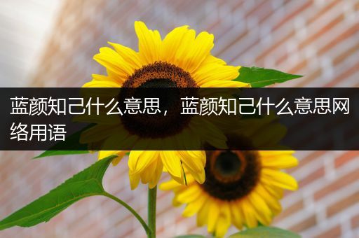 蓝颜知己什么意思,蓝颜知己什么意思网络用语