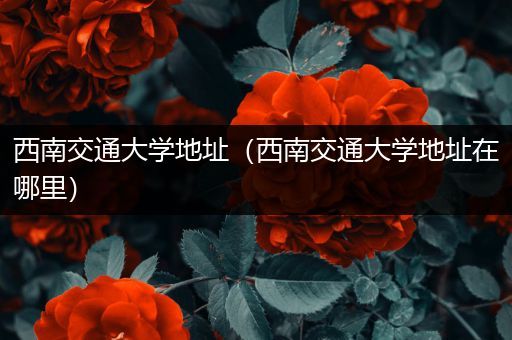 西南交通大学地址(西南交通大学地址在哪里)