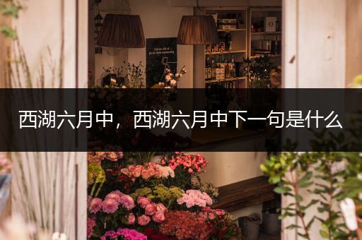 西湖六月中,西湖六月中下一句是什么