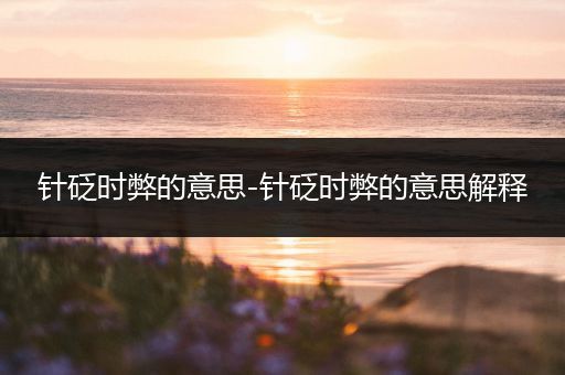 针砭时弊的意思-针砭时弊的意思解释