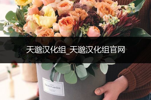 天邈汉化组_天邈汉化组官网