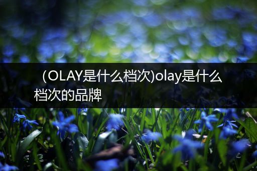 (OLAY是什么档次)olay是什么档次的品牌