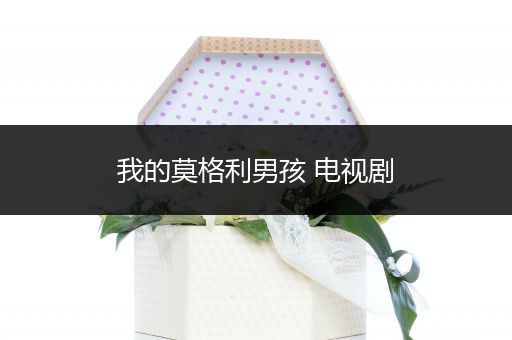 我的莫格利男孩 电视剧