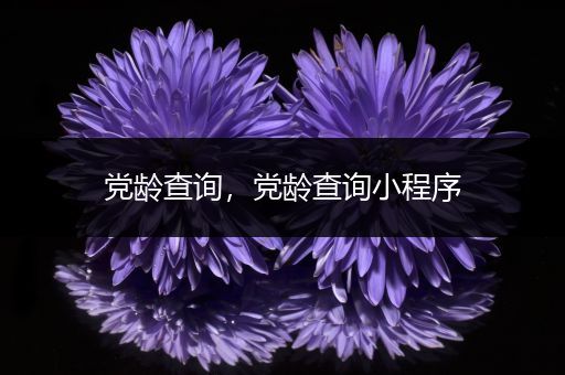 党龄查询,党龄查询小程序