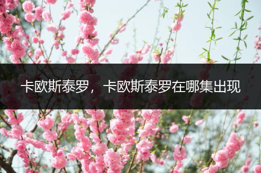 卡欧斯泰罗,卡欧斯泰罗在哪集出现