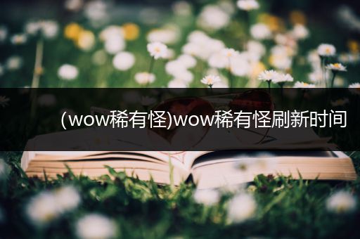 (wow稀有怪)wow稀有怪刷新时间
