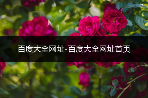 百度大全网址-百度大全网址首页