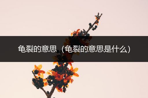 龟裂的意思(龟裂的意思是什么)