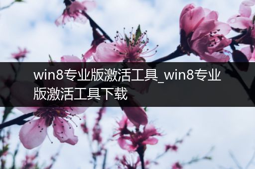 win8专业版激活工具_win8专业版激活工具下载