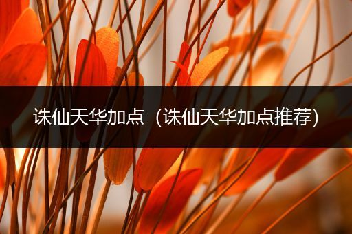 诛仙天华加点(诛仙天华加点推荐)