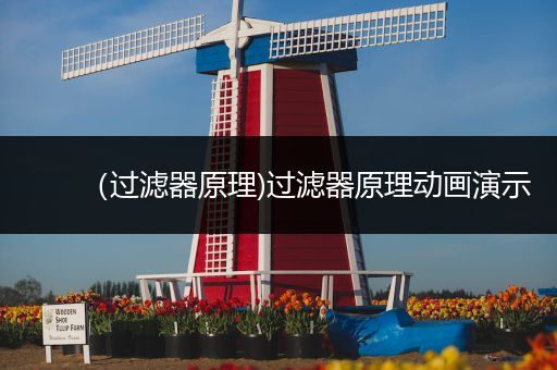 (过滤器原理)过滤器原理动画演示