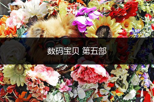 数码宝贝 第五部