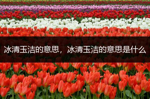 冰清玉洁的意思,冰清玉洁的意思是什么