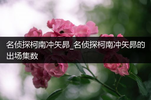 名侦探柯南冲矢昴_名侦探柯南冲矢昴的出场集数