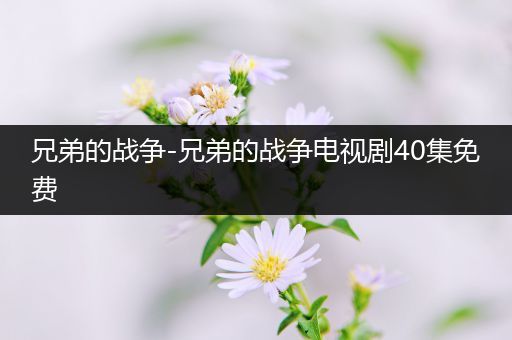 兄弟的战争-兄弟的战争电视剧40集免费
