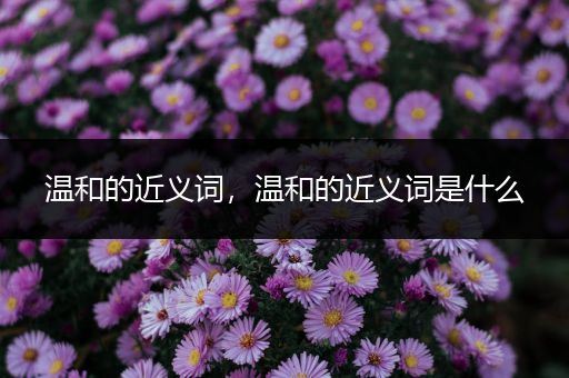 温和的近义词,温和的近义词是什么