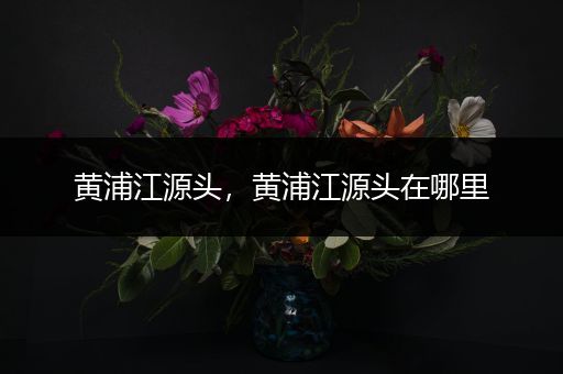 黄浦江源头,黄浦江源头在哪里