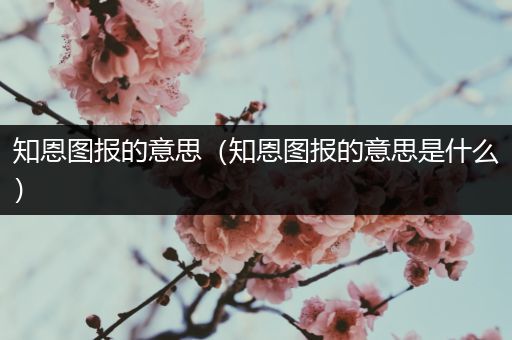 知恩图报的意思(知恩图报的意思是什么)