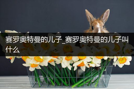 赛罗奥特曼的儿子_赛罗奥特曼的儿子叫什么