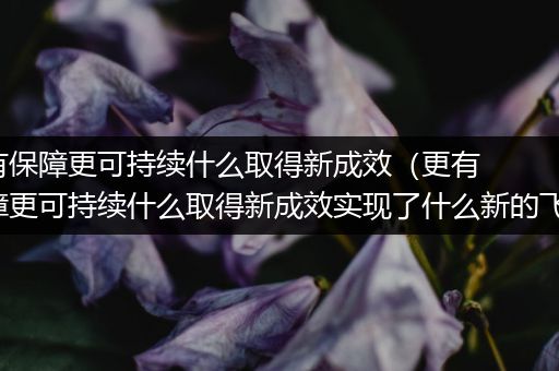 更有保障更可持续什么取得新成效(更有保障更可持续什么取得新成效实现了什么新的飞跃)