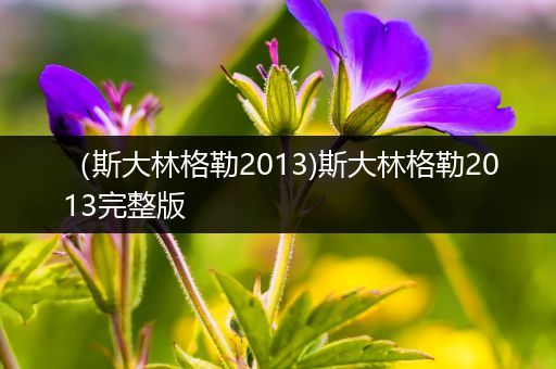 (斯大林格勒2013)斯大林格勒2013完整版