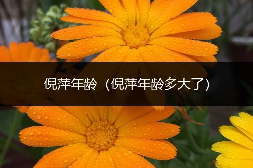 倪萍年龄(倪萍年龄多大了)